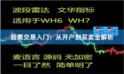 股票交易入门：从开户到买卖全解析
